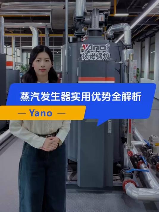 实用至上:燃气蒸汽发生器,工业生产的节能新选择