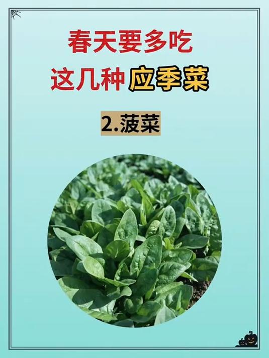 春季多吃这几种应季菜