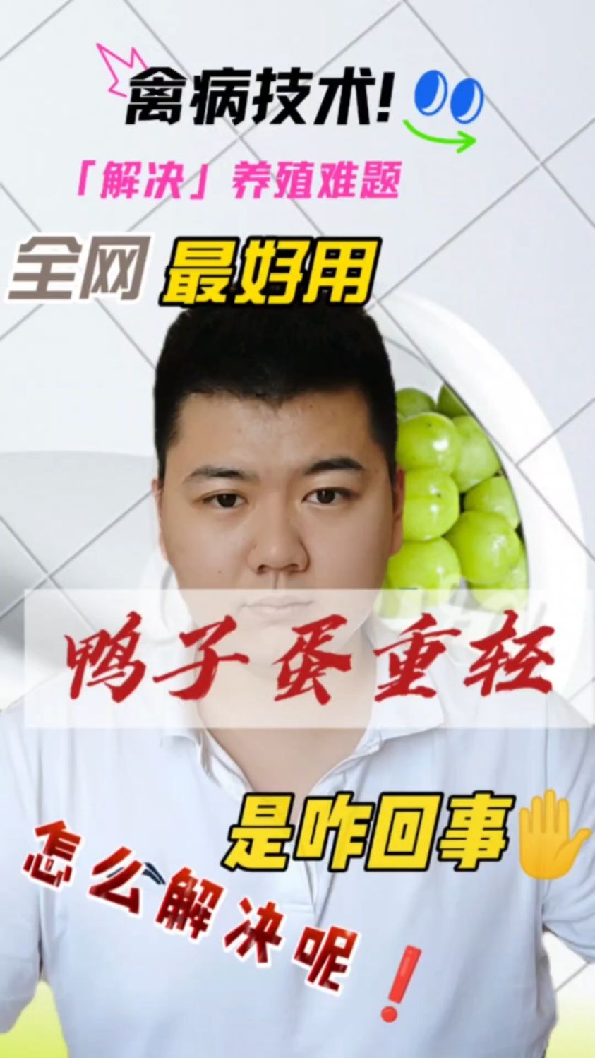 #鸭子蛋大小不均怎么回事鸭蛋个头小是怎么回事鸭子生的蛋很小怎么办鸭子下蛋小是什么