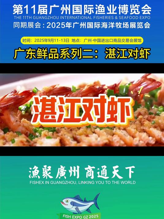 广东鲜品系列二:湛江对虾;弾!甜!大!湛江对虾,品质之选!