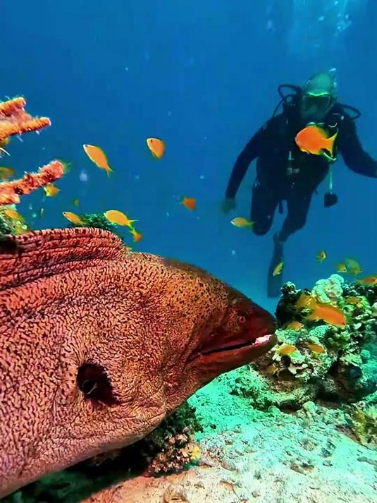 海边4月沉浸式户外赶海视频码头抓海鲜抓鱼沙滩礁石海洋生物