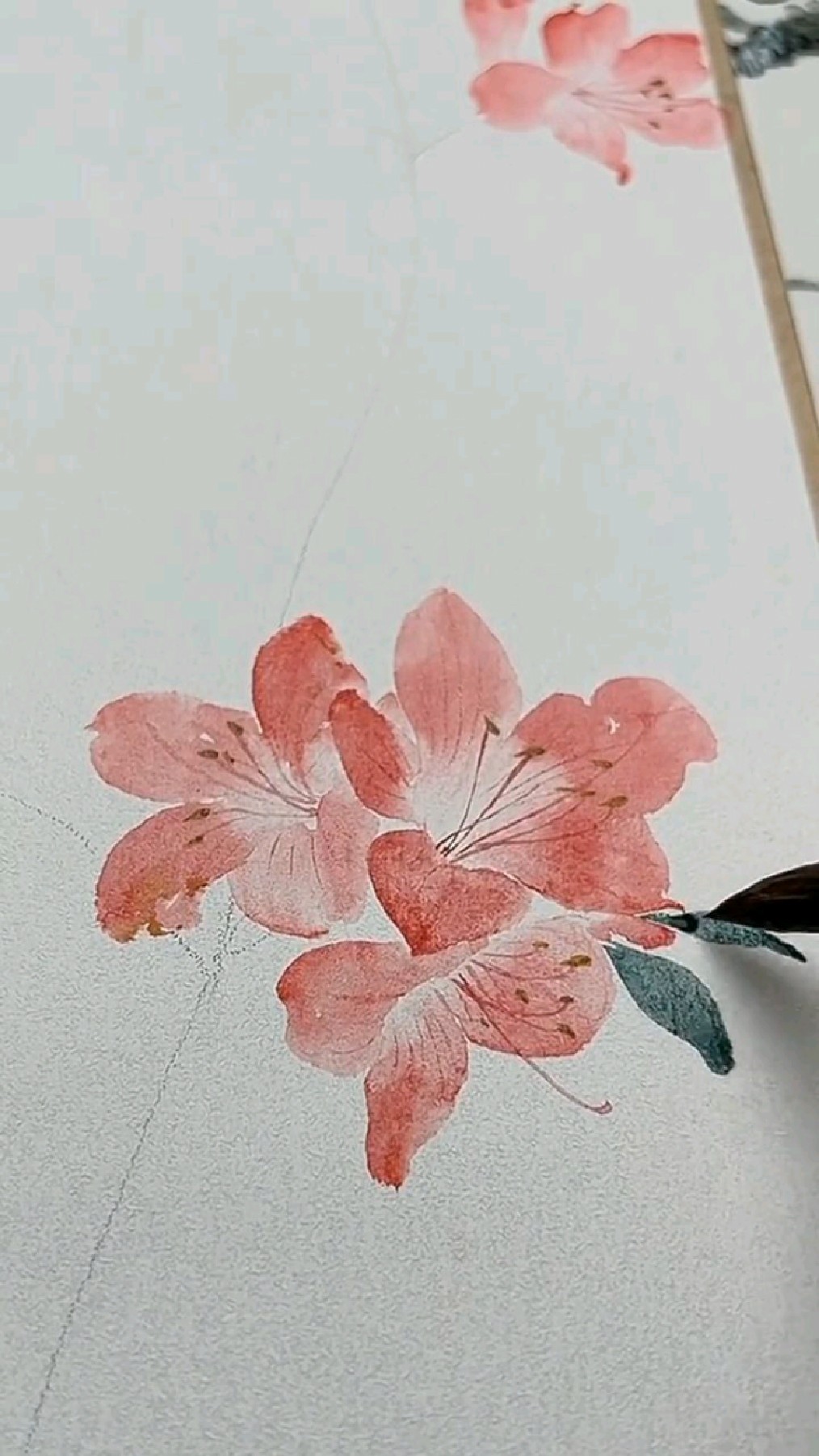 画一小簇映山红