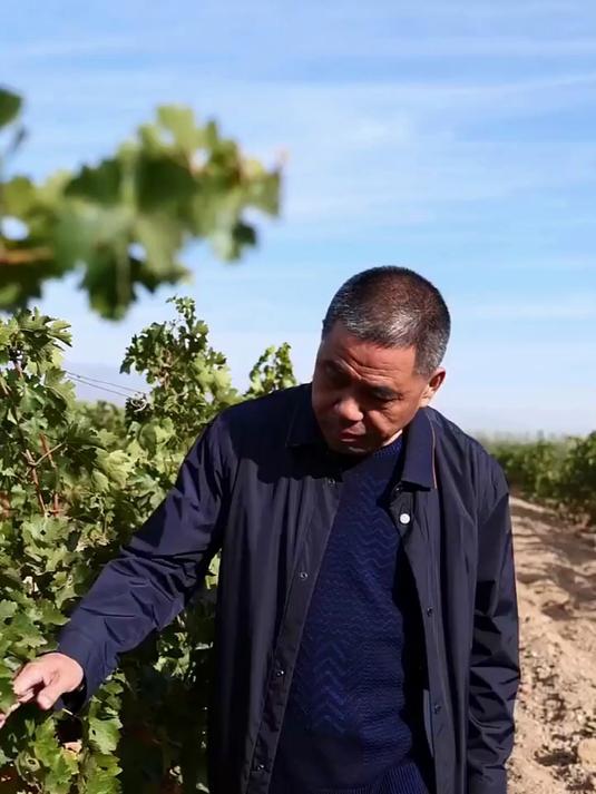 宁夏闽宁镇葡萄酒产业的核心人物、德龙酒业创始人