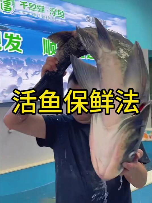 打包大活鱼的过程