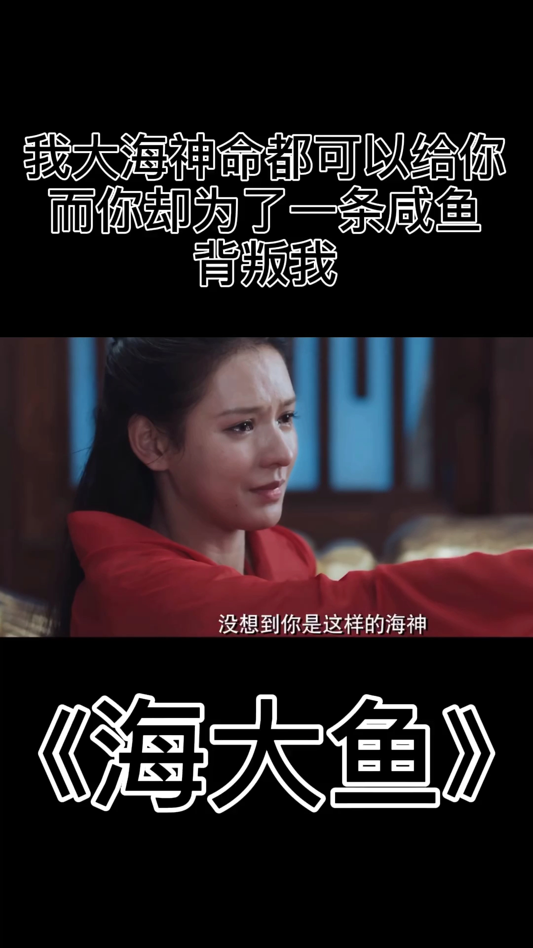 想不想谈一场,跨越种族的恋爱 海大鱼 张予曦 韩栋