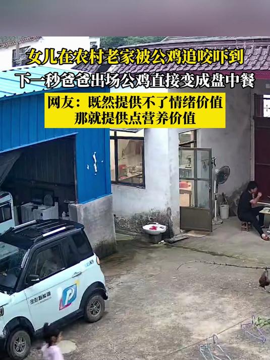 女儿在农村老家被公鸡追咬吓到,下一秒爸爸公鸡直接变成盘中餐
