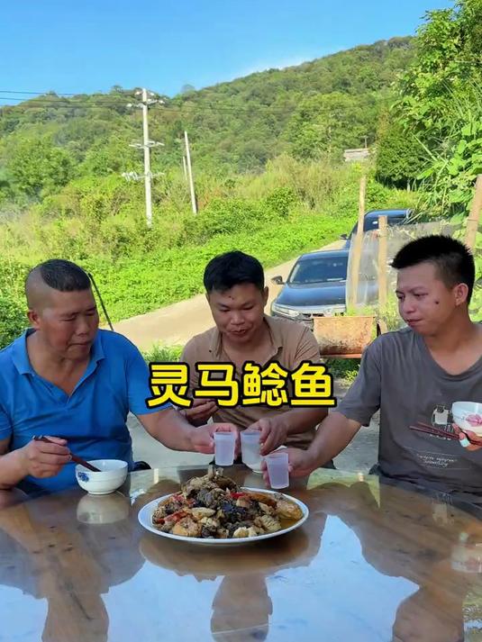 今天搞个广西公路的传奇,灵马鲶鱼。多少老司机的回忆