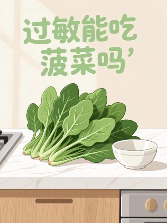 过敏能吃菠菜吗