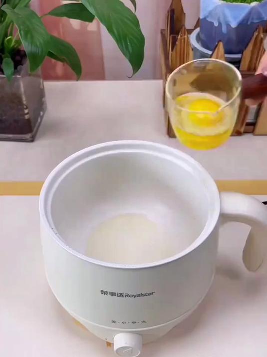 荣事达电煮锅学生宿舍小电锅多功能家用小型一人泡面迷4102