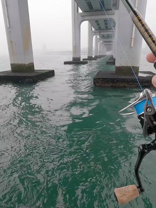 热心钓友发现大连跨海大桥下巨物泛滥,帅小伙带女友火速前往