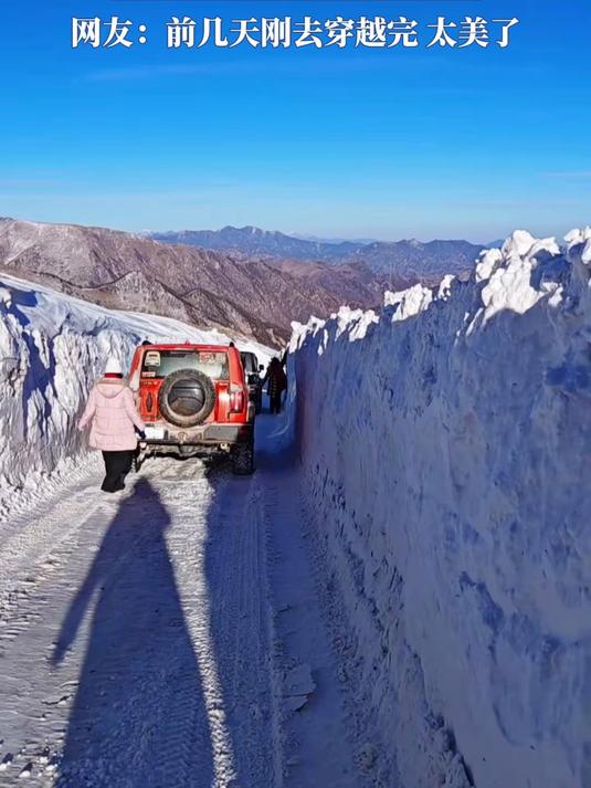网友在涠洲岛幸运的拍到鲸鱼出水。旅游推荐