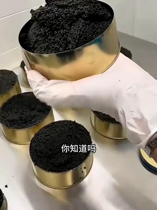 煤球状的黑鱼子酱