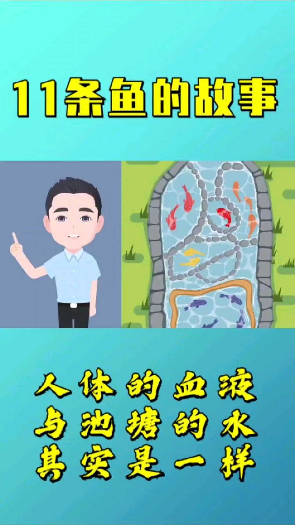 11条鱼的故事告诉你人体的血液与池塘的水其实是一样的当你看懂这个视频会让你受益匪浅