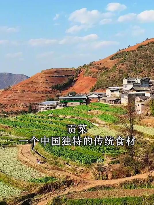 从皇宫走入寻常百姓家的菜肴有哪些?