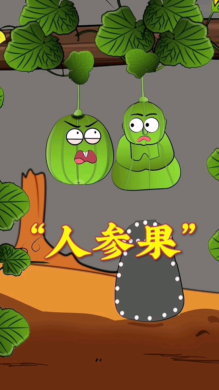 你见过这样的“人参果”吗?