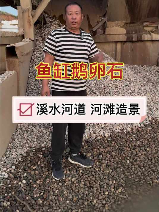鱼缸鹅卵石 鹅卵石造景 鹅卵石生产线