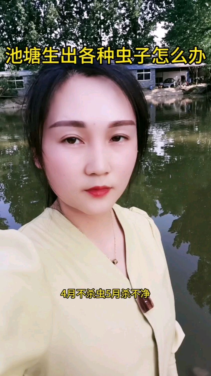 池塘生出各种虫子怎么办