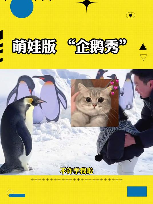 萌娃版“企鹅秀”，一堆QQ里混进来一个假的！