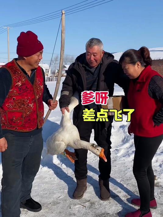 铁锅炖大鹅