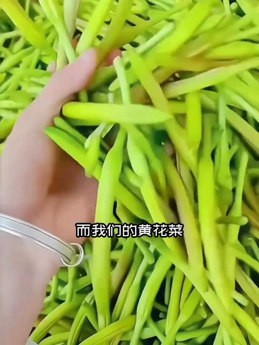 素食界的 “补钙小金条”:干黄花菜的营养浓缩版