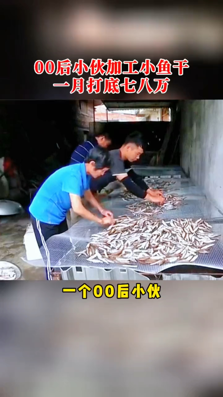 小鱼干烘干机、鱼虾烘干机