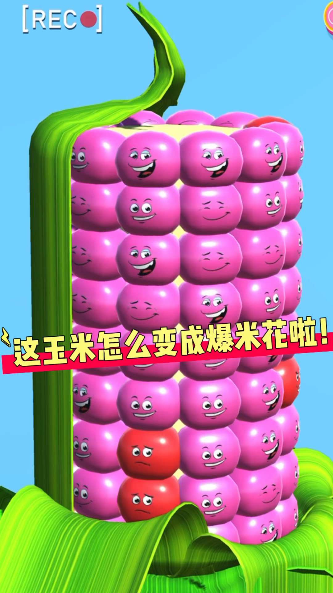 这玉米怎么变成爆米花啦!