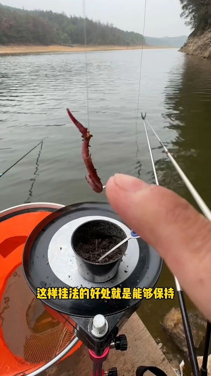 冬季野钓大板鲫最好用的“蚯蚓挂钩绑法”