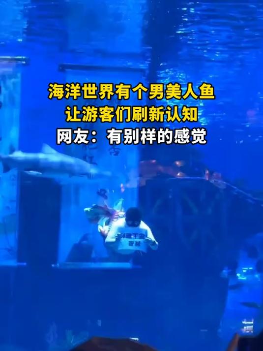 海洋世界有个男美人鱼,让游客们刷新认知,网友:有别样的感觉