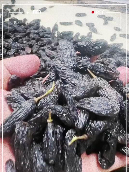 零食界新宠!蓝宝石葡萄干甜而不腻,老人小孩都爱吃
