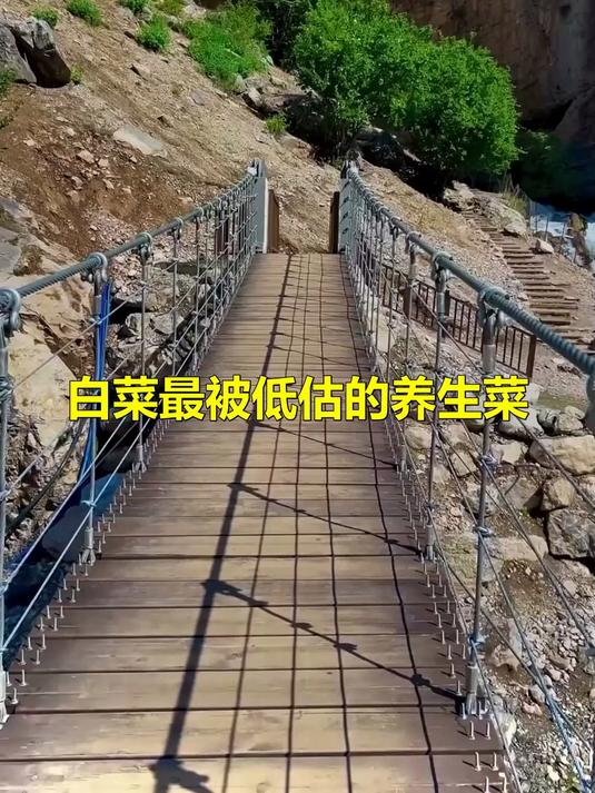 白菜：最被低估的养生菜，胜过很多药材