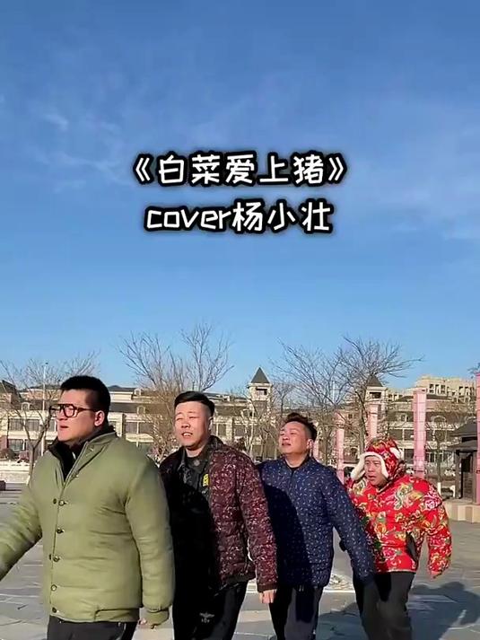 我是一颗小白菜 青春老男孩 胡胖 白菜爱上猪