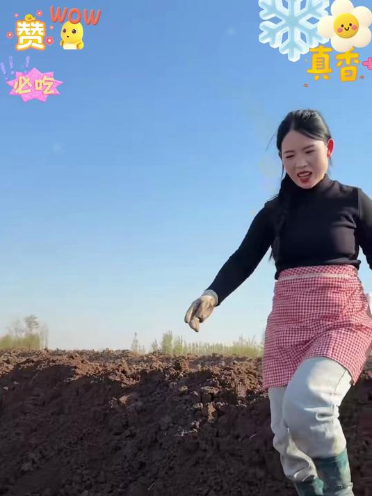 垆土铁棍山药品质是真的好。用来煲汤炒菜都可以