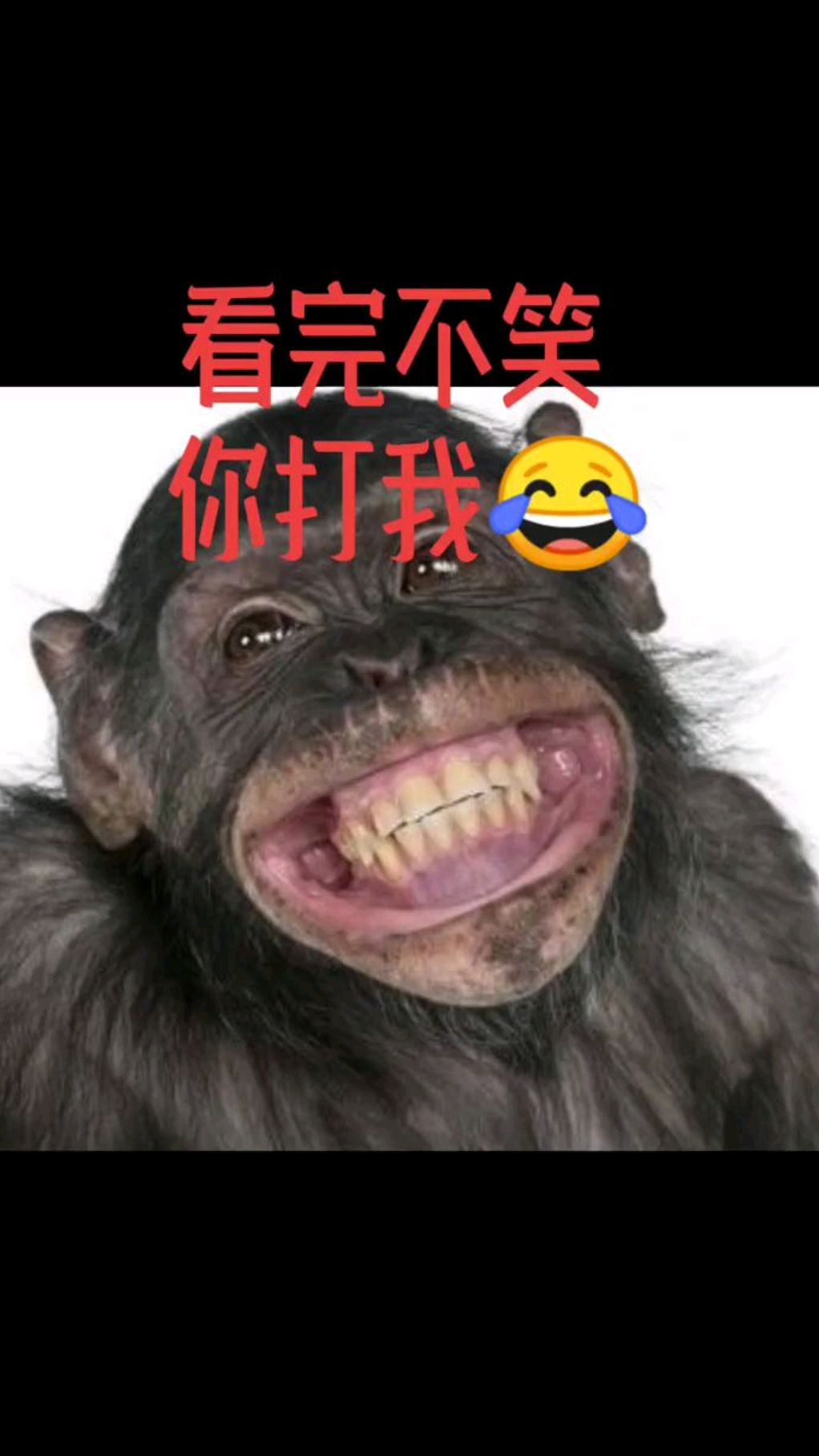 哈哈,看完不笑你打我
