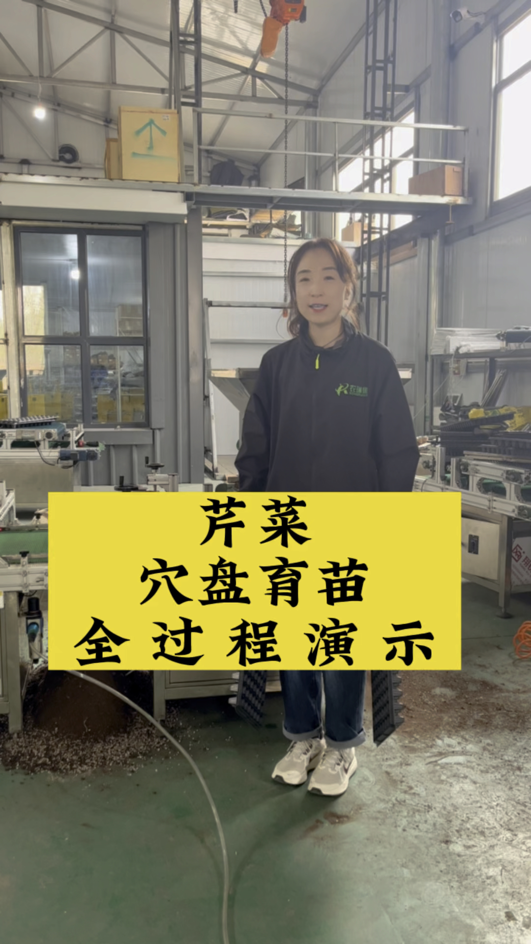 芹菜穴盘育苗全过程演示#育苗机#穴盘播种机#农业种植