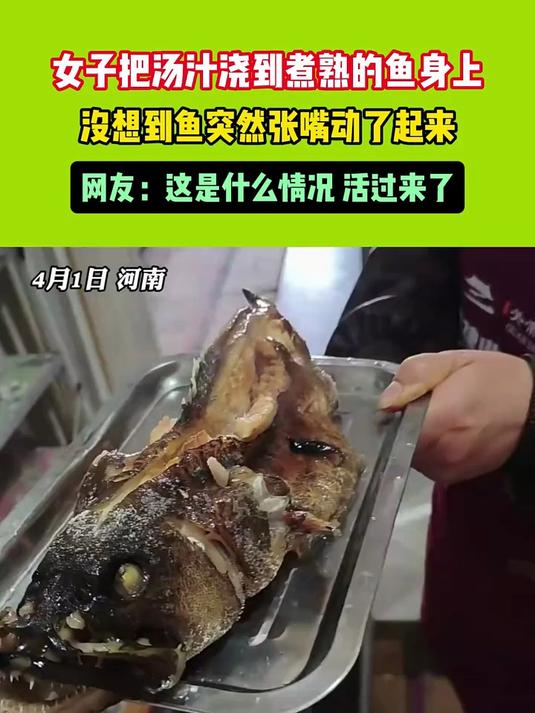 女子把汤汁浇到煮熟的鱼身上,没想到鱼突然张嘴动了起来