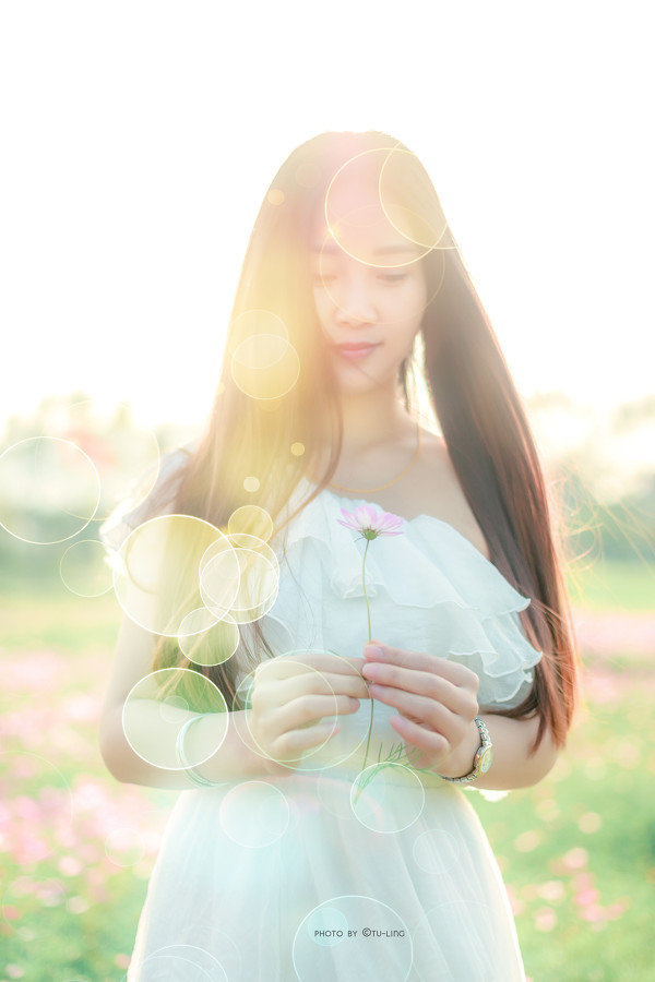 图片[12]-田园花香-六色网