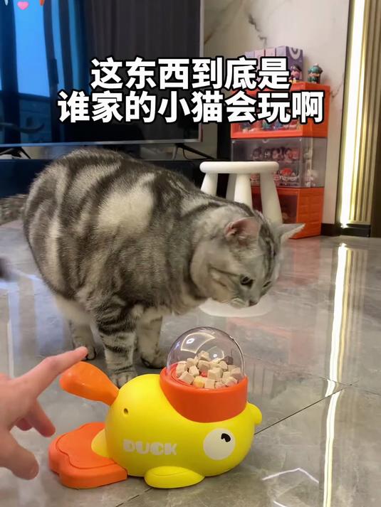 小黄鸭!发射吧!超可爱的