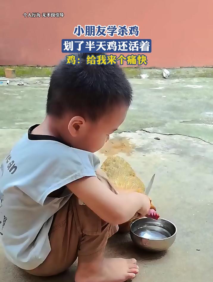 小朋友学杀鸡,划了半天鸡还活着。鸡:给我来个痛快