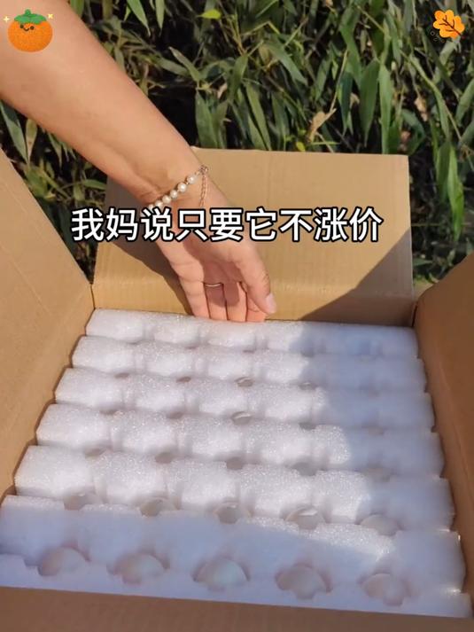 纯粮食喂养鸽子蛋清水一煮就很好吃