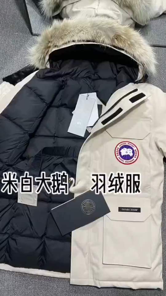 全网都在找的加拿大鹅白色远征