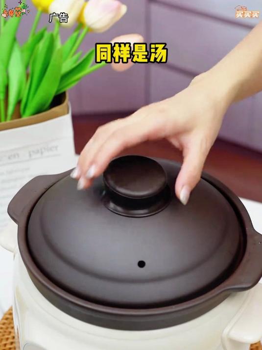 苏泊尔电炖锅3L大容量炖盅陶瓷煲汤家用