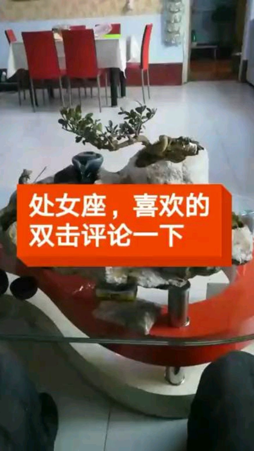 主做石头花盆鱼缸,下个视频出制作教程