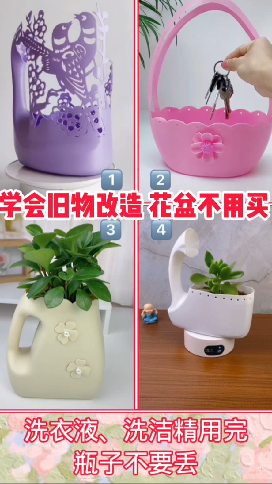 家里有用洗衣液的,瓶子千万不要丢,割几刀做成花盆,邻居看到了说想拜师学着做。