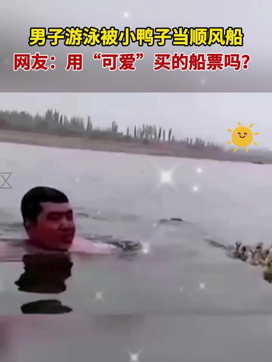 男子游泳被小鸭子当顺风船 网友:用“可爱”买的船票吗?