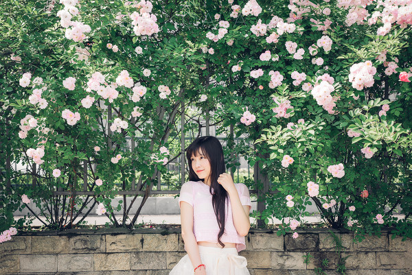 图片[9]-Blooming rose-六色网