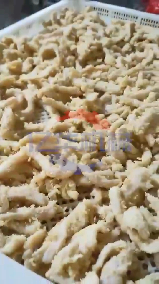 无骨鸡柳加工设备 全自动滚筒裹粉机 上面粉淀粉机器 油炸生产流水线加工定制