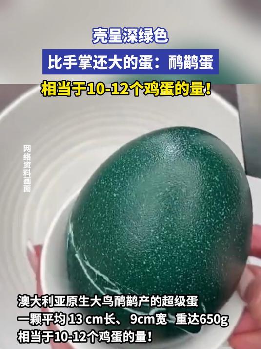 壳呈深绿色，比手掌还大的蛋：鸸鹋蛋，相当于10-12个鸡蛋的量！