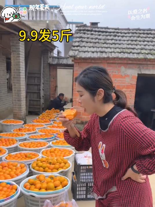 又脆又甜巧克力糖心脆柿子蜕皮后食用口感更佳哦！