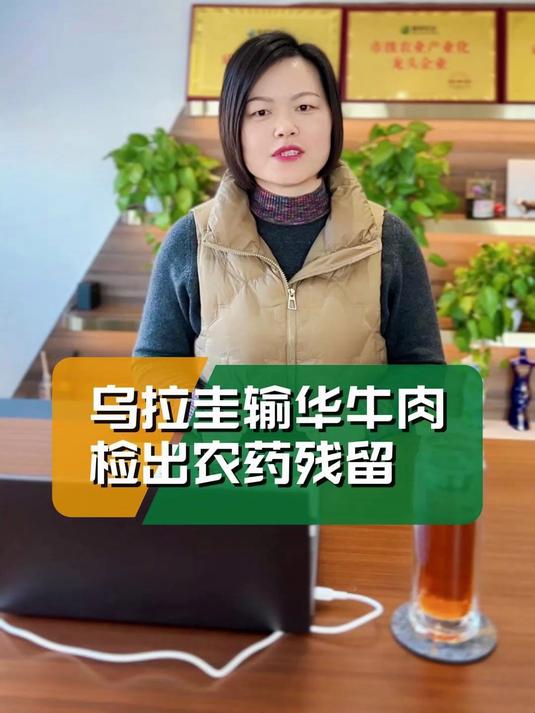 乌拉圭输华牛肉检出农药残留,进口牛肉你还敢吃吗?