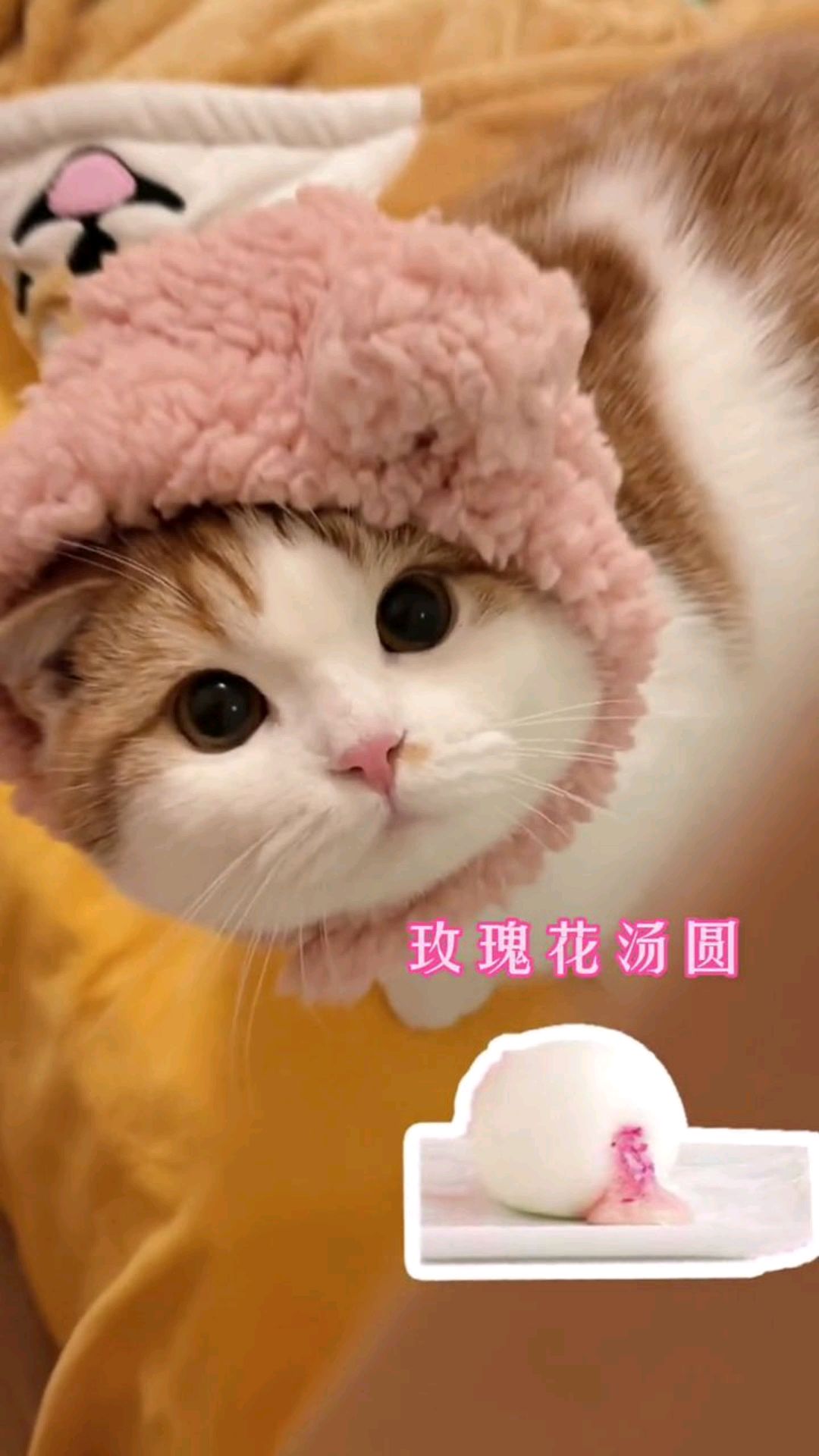 这么可爱的小汤圆,我一顿能吃十来个。